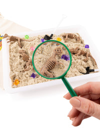 Dinosaur Sensory Bin for Preschoolers, Dinosaur Toy for Kids - Axel Adventures