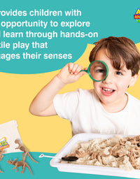 Dinosaur Sensory Bin for Preschoolers, Dinosaur Toy for Kids - Axel Adventures