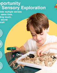 Dinosaur Sensory Bin for Preschoolers, Dinosaur Toy for Kids - Axel Adventures
